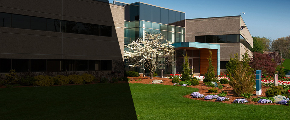 East Norwich Landscapers