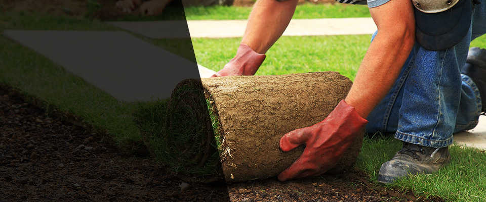 East Norwich Landscapers